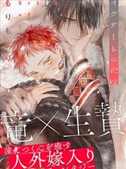 万相之王 小说封面